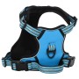 Arnés para perros con correa y collar ajustable azul M de , Productos para perros - Ref: Foro24-4013386, Precio: 28,65 €, Des...