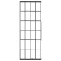 Cabina de ducha ESG esmerilado negro 80x80x180 cm de , Puertas de ducha - Ref: Foro24-151861, Precio: 300,72 €, Descuento: %