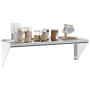Estante de pared de acero inoxidable plateado 100x30x31 cm de , Estantes y estanterías - Ref: Foro24-30273, Precio: 73,71 €, ...