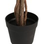 Limonero artificial con 3 troncos PP verde 85 cm de , Árboles - Ref: Foro24-4010676, Precio: 62,61 €, Descuento: %