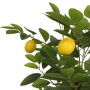 Limonero artificial con 3 troncos PP verde 85 cm de , Árboles - Ref: Foro24-4010676, Precio: 62,61 €, Descuento: %