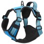 Arnés para perros con correa y collar ajustable azul L de , Productos para perros - Ref: Foro24-4013391, Precio: 23,74 €, Des...
