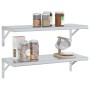 Estantes de pared 2 uds acero inoxidable plateado 75x30x3 cm de , Estantes y estanterías - Ref: Foro24-30282, Precio: 61,53 €...