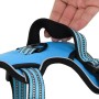 Arnés para perros con correa y collar ajustable azul S de , Productos para perros - Ref: Foro24-4013381, Precio: 26,41 €, Des...