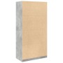 Armario de madera contrachapada gris hormigón 100x50x200 cm de , Armarios roperos - Ref: Foro24-3307732, Precio: 191,51 €, De...