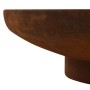 Brasero de acero 80 cm de vidaXL, Chimeneas - Ref: Foro24-313345, Precio: 154,02 €, Descuento: %