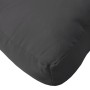 Cojines para palets 2 unidades tela negro de , Cojines para sillas y sofás - Ref: Foro24-360929, Precio: 87,28 €, Descuento: %