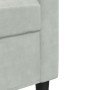 Juego de sofás con cojines 2 piezas terciopelo gris claro de , Sofás - Ref: Foro24-3278411, Precio: 473,36 €, Descuento: %