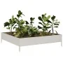 Jardinera de acero inoxidable 100x100x26 cm de , Maceteros y jardineras - Ref: Foro24-851021, Precio: 51,78 €, Descuento: %