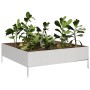 Jardinera de acero inoxidable 100x100x33,5 cm de , Maceteros y jardineras - Ref: Foro24-851028, Precio: 64,87 €, Descuento: %