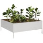 Jardinera de acero inoxidable 100x100x25 cm de , Maceteros y jardineras - Ref: Foro24-851035, Precio: 73,97 €, Descuento: %