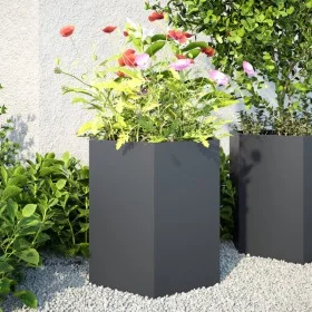 Jardineras hexagonales 2 uds acero antracita 46x40x45 cm de , Maceteros y jardineras - Ref: Foro24-851113, Precio: 81,95 €, D...