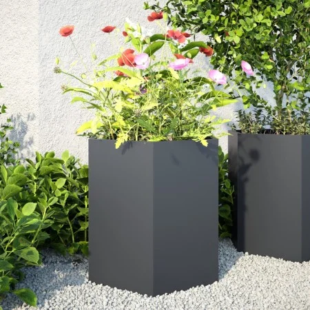 Jardineras hexagonales 2 uds acero antracita 46x40x45 cm de , Maceteros y jardineras - Ref: Foro24-851113, Precio: 81,95 €, D...