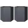 Jardineras hexagonales 2 uds acero antracita 46x40x45 cm de , Maceteros y jardineras - Ref: Foro24-851113, Precio: 81,95 €, D...