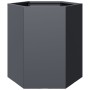 Jardineras hexagonales 2 uds acero antracita 46x40x45 cm de , Maceteros y jardineras - Ref: Foro24-851113, Precio: 84,05 €, D...
