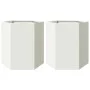 Jardineras hexagonales 2 uds acero blanco 46x40x45 cm de , Maceteros y jardineras - Ref: Foro24-851111, Precio: 69,25 €, Desc...