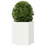 Jardineras hexagonales 2 uds acero blanco 46x40x45 cm de , Maceteros y jardineras - Ref: Foro24-851111, Precio: 69,25 €, Desc...