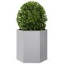 Jardinera hexagonal acero inoxidable 46x40x45 cm de , Maceteros y jardineras - Ref: Foro24-851118, Precio: 37,98 €, Descuento: %