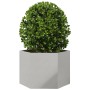 Jardinera hexagonal acero inoxidable 69x60x45 cm de , Maceteros y jardineras - Ref: Foro24-851126, Precio: 78,69 €, Descuento: %