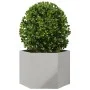 Jardinera hexagonal acero inoxidable 69x60x45 cm de , Maceteros y jardineras - Ref: Foro24-851126, Precio: 75,31 €, Descuento: %