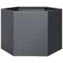 Jardinera hexagonal acero gris antracita 69x60x45 cm de , Maceteros y jardineras - Ref: Foro24-851124, Precio: 63,11 €, Descu...