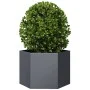Jardinera hexagonal acero gris antracita 69x60x45 cm de , Maceteros y jardineras - Ref: Foro24-851124, Precio: 63,11 €, Descu...