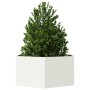 Jardinera hexagonal de acero blanco 104x90x45 cm de , Maceteros y jardineras - Ref: Foro24-851130, Precio: 75,64 €, Descuento: %