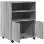 Armario con ruedas madera de ingeniería gris Sonoma 60x48x81 cm de , Armarios archivadores - Ref: Foro24-853169, Precio: 82,7...