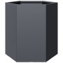 Jardinera hexagonal acero gris antracita 46x40x45 cm de , Maceteros y jardineras - Ref: Foro24-851112, Precio: 50,06 €, Descu...