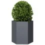 Jardinera hexagonal acero gris antracita 46x40x45 cm de , Maceteros y jardineras - Ref: Foro24-851112, Precio: 49,09 €, Descu...