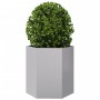Jardineras hexagonales 2 uds acero inoxidable 46x40x45 cm de , Maceteros y jardineras - Ref: Foro24-851119, Precio: 68,92 €, ...