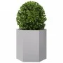Jardineras hexagonales 2 uds acero inoxidable 46x40x45 cm de , Maceteros y jardineras - Ref: Foro24-851119, Precio: 66,36 €, ...