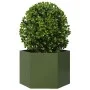 Jardinera hexagonal de acero verde oliva 69x60x45 cm de , Maceteros y jardineras - Ref: Foro24-851125, Precio: 57,46 €, Descu...