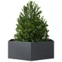 Jardinera hexagonal acero gris antracita 138x120x45 cm de , Maceteros y jardineras - Ref: Foro24-851138, Precio: 92,78 €, Des...