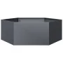 Jardinera hexagonal acero gris antracita 138x120x45 cm de , Maceteros y jardineras - Ref: Foro24-851138, Precio: 92,78 €, Des...