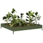 Arriate de acero verde oliva 100x100x18,5 cm de , Maceteros y jardineras - Ref: Foro24-851013, Precio: 35,90 €, Descuento: %