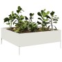 Arriate de acero blanco 100x100x25 cm de , Maceteros y jardineras - Ref: Foro24-851032, Precio: 56,92 €, Descuento: %