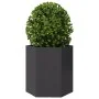 Jardineras hexagonales 2 uds acero negra 46x40x45 cm de , Maceteros y jardineras - Ref: Foro24-851109, Precio: 86,25 €, Descu...