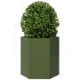 Jardinera hexagonal de acero verde 46x40x45 cm de , Maceteros y jardineras - Ref: Foro24-851114, Precio: 43,52 €, Descuento: %