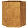 Jardineras hexagonales 46x40x45 cm acero desgastado de , Maceteros y jardineras - Ref: Foro24-851121, Precio: 70,82 €, Descue...