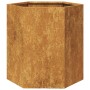 Jardineras hexagonales 46x40x45 cm acero desgastado de , Maceteros y jardineras - Ref: Foro24-851121, Precio: 70,82 €, Descue...