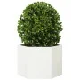 Jardinera hexagonal acero blanco 69x60x45 cm de , Maceteros y jardineras - Ref: Foro24-851123, Precio: 57,17 €, Descuento: %