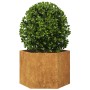 Jardinera hexagonal 69x60x45 cm acero desgastado de , Maceteros y jardineras - Ref: Foro24-851128, Precio: 68,76 €, Descuento: %