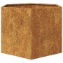 Jardinera hexagonal 69x60x45 cm acero desgastado de , Maceteros y jardineras - Ref: Foro24-851128, Precio: 68,76 €, Descuento: %
