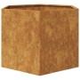 Jardinera hexagonal 69x60x45 cm acero desgastado de , Maceteros y jardineras - Ref: Foro24-851128, Precio: 68,76 €, Descuento: %