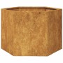 Jardinera hexagonal 69x60x45 cm acero desgastado de , Maceteros y jardineras - Ref: Foro24-851128, Precio: 68,76 €, Descuento: %