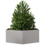 Jardinera hexagonal de acero inoxidable 138x120x45 cm de , Maceteros y jardineras - Ref: Foro24-851140, Precio: 145,70 €, Des...