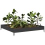 Arriate de acero negro 100x100x18,5 cm de , Maceteros y jardineras - Ref: Foro24-851010, Precio: 42,17 €, Descuento: %