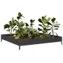 Arriate de acero negro 100x100x18,5 cm de , Maceteros y jardineras - Ref: Foro24-851010, Precio: 41,33 €, Descuento: %