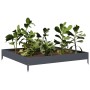 Arriate de acero gris antracita 100x100x18,5 cm de , Maceteros y jardineras - Ref: Foro24-851012, Precio: 38,42 €, Descuento: %
